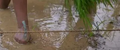 Thumbnail for version as of 14:41, 15 April 2026