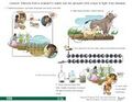 Thumbnail for version as of 21:05, 10 April 2026
