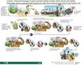 Thumbnail for version as of 21:04, 10 April 2026