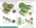 Thumbnail for version as of 21:00, 10 April 2026
