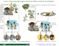 Thumbnail for version as of 14:40, 15 April 2026