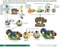 Thumbnail for version as of 21:00, 10 April 2026