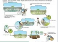 Thumbnail for version as of 15:17, 15 April 2026