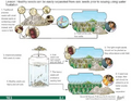 Thumbnail for version as of 14:43, 15 April 2026