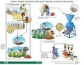 Thumbnail for version as of 21:03, 10 April 2026