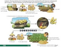 Thumbnail for version as of 14:38, 15 April 2026