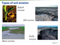 Thumbnail for version as of 14:42, 15 April 2026