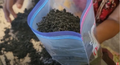 Thumbnail for version as of 14:40, 15 April 2026