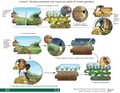 Thumbnail for version as of 21:03, 10 April 2026