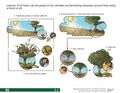 Thumbnail for version as of 21:03, 10 April 2026