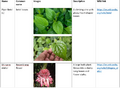 Thumbnail for version as of 14:39, 15 April 2026