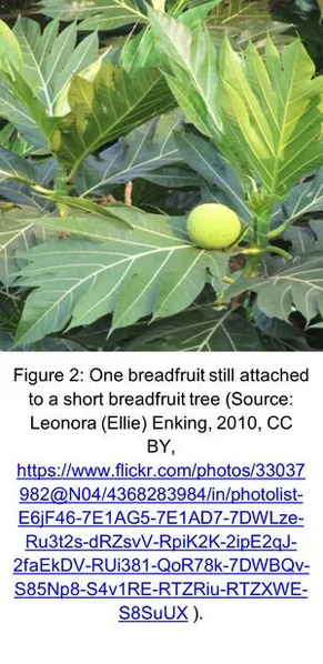 File:FIG2.webp