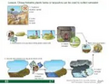 Thumbnail for version as of 14:43, 15 April 2026