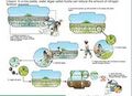 Thumbnail for version as of 21:04, 10 April 2026