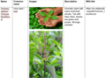 Thumbnail for version as of 21:03, 10 April 2026