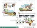 Thumbnail for version as of 21:03, 10 April 2026