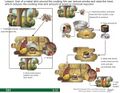 Thumbnail for version as of 21:00, 10 April 2026