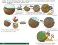 Thumbnail for version as of 21:04, 10 April 2026