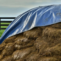 Thumbnail for version as of 14:39, 15 April 2026