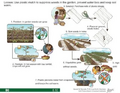 Thumbnail for version as of 14:42, 15 April 2026