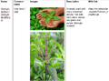 Thumbnail for version as of 14:41, 15 April 2026