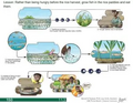 Thumbnail for version as of 14:42, 15 April 2026
