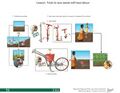 Thumbnail for version as of 21:04, 10 April 2026