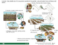 Thumbnail for version as of 14:43, 15 April 2026