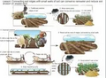 Thumbnail for version as of 15:17, 15 April 2026