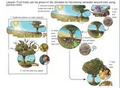 Thumbnail for version as of 15:17, 15 April 2026