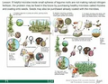 Thumbnail for version as of 14:41, 15 April 2026