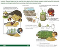 Thumbnail for version as of 14:41, 15 April 2026