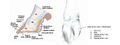 Thumbnail for version as of 15:17, 15 April 2026