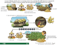 Thumbnail for version as of 14:39, 15 April 2026