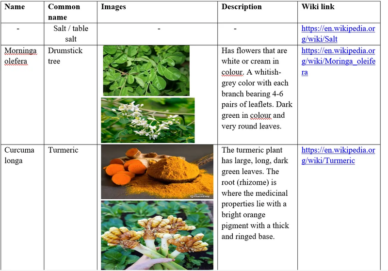 File:20260410180556!Lan 13.webp