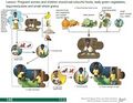 Thumbnail for version as of 21:00, 10 April 2026