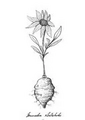 Thumbnail for version as of 15:17, 15 April 2026
