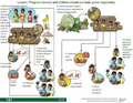 Thumbnail for version as of 14:41, 15 April 2026