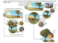 Thumbnail for version as of 15:17, 15 April 2026