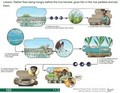 Thumbnail for version as of 14:41, 15 April 2026