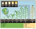 Thumbnail for version as of 14:39, 15 April 2026