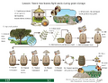 Thumbnail for version as of 14:40, 15 April 2026