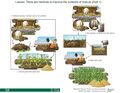 Thumbnail for version as of 21:05, 10 April 2026