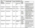 Thumbnail for version as of 15:18, 15 April 2026