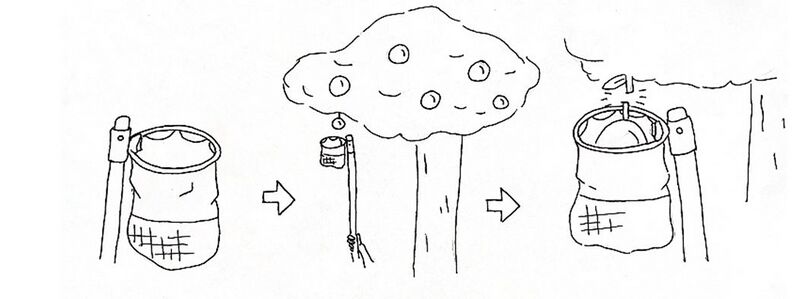 File:Vcx.JPG