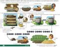 Thumbnail for version as of 21:01, 10 April 2026