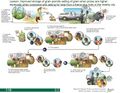 Thumbnail for version as of 21:04, 10 April 2026