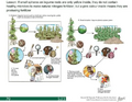 Thumbnail for version as of 14:38, 15 April 2026