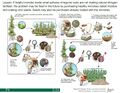 Thumbnail for version as of 21:01, 10 April 2026