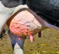 Thumbnail for version as of 14:41, 15 April 2026